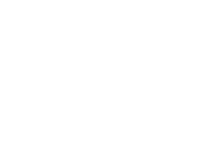 Schlemaier KG